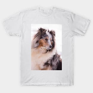 Shetland Sheepdog Portrait T-Shirt